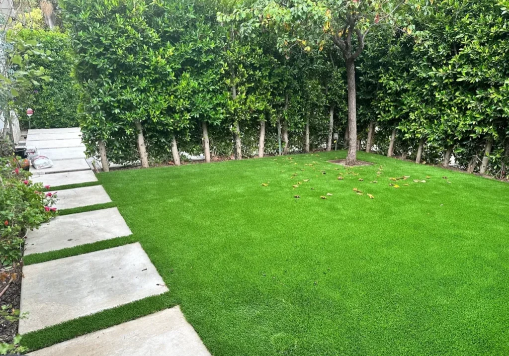 Green lawn with tree and pathway.